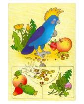 Картинка к книге RN Toys - Кто что ест "Попугай" (Д-507)