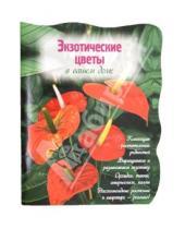 Картинка к книге Наталья Власова - Экзотические цветы в вашем доме