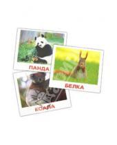 Картинка к книге В. Е. Епанова Е., Т. Носова - Комплект карточек мини "Дикие животные" 8х10 см
