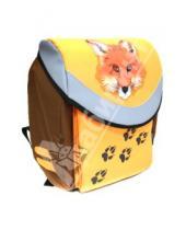 Картинка к книге Рюкзаки школьные - Ранец школьный "Fox" (830467)