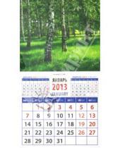 Картинка к книге Календарь на магните  94х167 - Календарь 2013 "Березы" (20315)