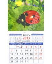 Картинка к книге Календарь на магните  94х167 - Календарь 2013 "Божья коровка" (20317)