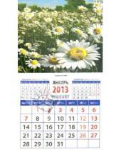 Картинка к книге Календарь на магните  94х167 - Календарь 2013 "Ромашки" (20318)