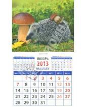 Картинка к книге Календарь на магните  94х167 - Календарь 2013 "Ежик с грибом" (20321)