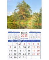 Картинка к книге Календарь на магните  94х167 - Календарь 2013 "Прекрасный пейзаж" (20323)