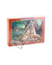Картинка к книге Puzzle-3000 - Puzzle-3000 "Ягуары в джунглях" (С-300280)