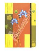 Картинка к книге Эксмо-Канц - Блокнот Миди, 80 листов, "Синий цветок", 138х200 мм (БР8004)
