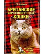 Картинка к книге Владимировна Елена Доброва - Британские короткошерстные кошки