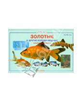 Картинка к книге Ник Флетчер - Золотые и другие холодноводные аквариумные рыбки