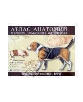 Картинка к книге А. Роберт Кайнер О., Томас Маккракен - Атлас анатомии мелких домашних животных