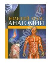 Картинка к книге Андрик Ашоф Вольфганг, Ангели Башар, Аль-Халаф - Большой атлас анатомии
