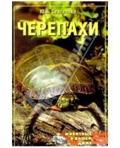 Картинка к книге Юлия Сергеенко - Черепахи