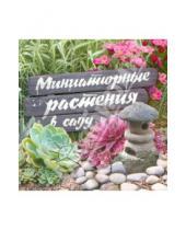 Картинка к книге Газетный Мир - Миниатюрные растения в саду