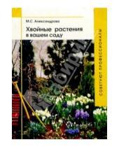 Картинка к книге Степановна Майя Александрова - Хвойные растения в вашем саду