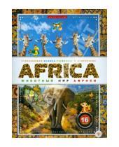 Картинка к книге Животный мир - AFRICA. Животный мир Африки