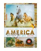 Картинка к книге Животный мир - AMERICA. Животный мир двух Америк