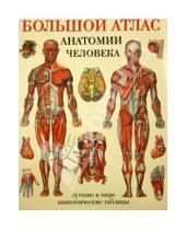 Картинка к книге Лучшие в мире анатомические таблицы - Большой атлас анатомии человека