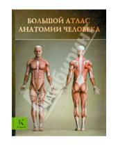 Картинка к книге Астрель - Большой атлас анатомии человека