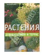 Картинка к книге Иоахим Майер - Растения для балконов и террас. Шаг за шагом к зеленому раю