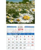 Картинка к книге Календарь на магните  94х167 - Календарь на 2014 год "Ромашки". Магнитный (20414)