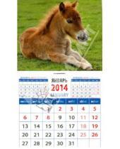 Картинка к книге Календарь на магните  94х167 - Календарь на 2014 год "Год лошади. Жеребенок". Магнитный  (20426)