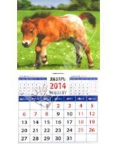 Картинка к книге Календарь на магните  94х167 - Календарь на 2014 год "Год лошади. Жеребенок на фоне пейзажа". Магнитный (20431)