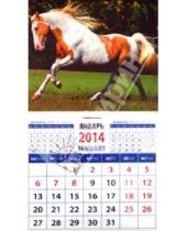 Картинка к книге Календарь на магните  94х167 - Календарь на 2014 год "Год лошади. Рыже-пегая андалузская лошадь". Магнитный (20433)