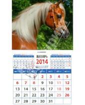 Картинка к книге Календарь на магните  94х167 - Календарь на 2014 год. "Арабская лошадь". Магнитный (20435)