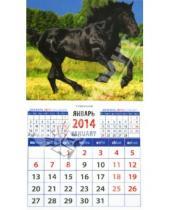 Картинка к книге Календарь на магните  94х167 - Календарь на 2014 год "Фризская вороная лошадь на фоне пейзажа". Магнитный (20436)