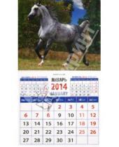 Картинка к книге Календарь на магните  94х167 - Календарь на 2014 год "Серая в яблоках арабская лошадь". Магнитный (20437)