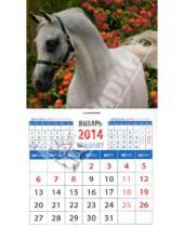 Картинка к книге Календарь на магните  94х167 - Календарь на 2014 год "Портрет светло-серой арабской лошади". Магнитный ( 20439)