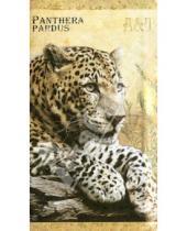 Картинка к книге Телефонная книжка - Телефонная книжк "Panthera Pardus" (29689)