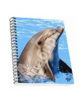 Картинка к книге SKAG - Тетрадьв клетку "3D Дельфин". А4. 96 листов (314126)