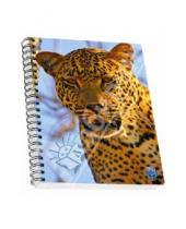 Картинка к книге SKAG - Тетрадь в клетку "3D Леопард". А4. 96 листов (314130)