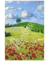 Картинка к книге Книги для записей - Книга для записей, А5 "Пейзаж. Цветущие луга" (КЗ51301363)