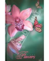 Картинка к книге Эксмо-Канц - Ежедневник недатированный "Цветы. Прекрасные орхидеи" (ЕЖ14512809)