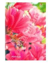 Картинка к книге Эксмо-Канц - Книга для записей "Цветы. Розовые грезы". 130 листов. А5 (КЗ51301367)