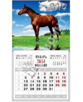 Картинка к книге Календари - Календарь на 2014 год с магнитным креплением "Лошадь" (32007)