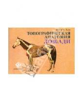 Картинка к книге К. Питер Гуди - Топографическая анатомия лошади