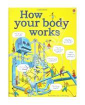 Картинка к книге Judy Hindley - How Your Body Works