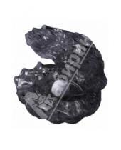Картинка к книге 3D головоломки - 3D Головоломка "Жемчужина черная" (90321)