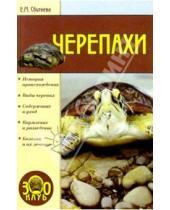 Картинка к книге Евгения Сбитнева - Черепахи