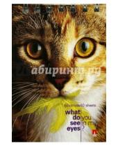 Картинка к книге Альт - Блокнот А7 "Кошачий взгляд", в ассортименте (3-40-007 Д)