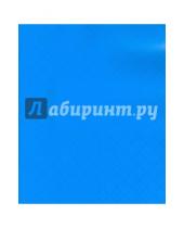 Картинка к книге Икспрессо - Тетрадь 12 листов, клетка, пластиковая обложка, голубая (120101)