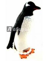 Картинка к книге Mojo - Пингвин Генту (Gentoo Penguin) (387184)