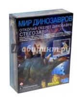 Картинка к книге 4M - Мир динозавров. Скелет Стегозавра (00-03229)
