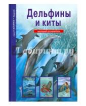 Картинка к книге Александровна Юлия Дунаева - Дельфины и киты