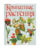 Картинка к книге Александровна Лариса Бурлуцкая - Комнатные растения