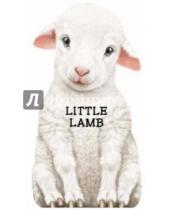 Картинка к книге Giovanni Caviezel - Little Lamb