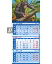 Картинка к книге Календарь квартальный на магните 110х245 - Календарь квартальный на магните 2016. Год обезьяны. Шимпанзе на пальме (34617)